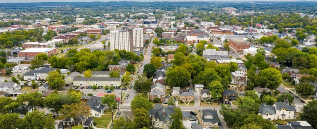 Case Study: AI Platform Gathers Citizen Input for Urban Planning